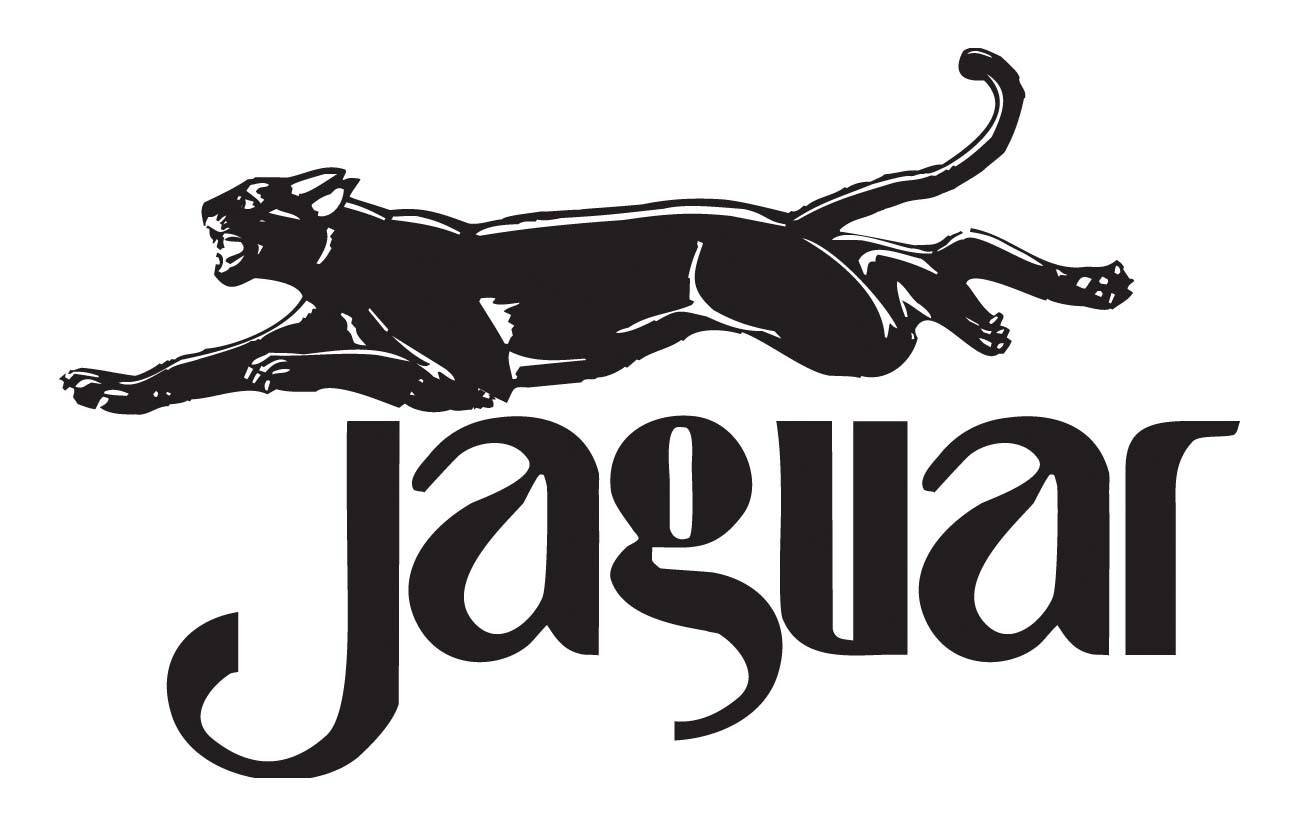 Znalezione obrazy dla zapytania wydawnictwo jaguar