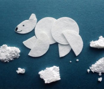 Polarny niedźwiedź