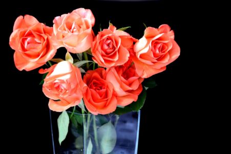 wróżby andrzejkowe pixabay wazon kwiaty róże