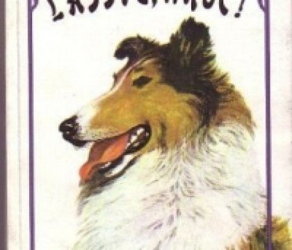 Przygody-Lassie