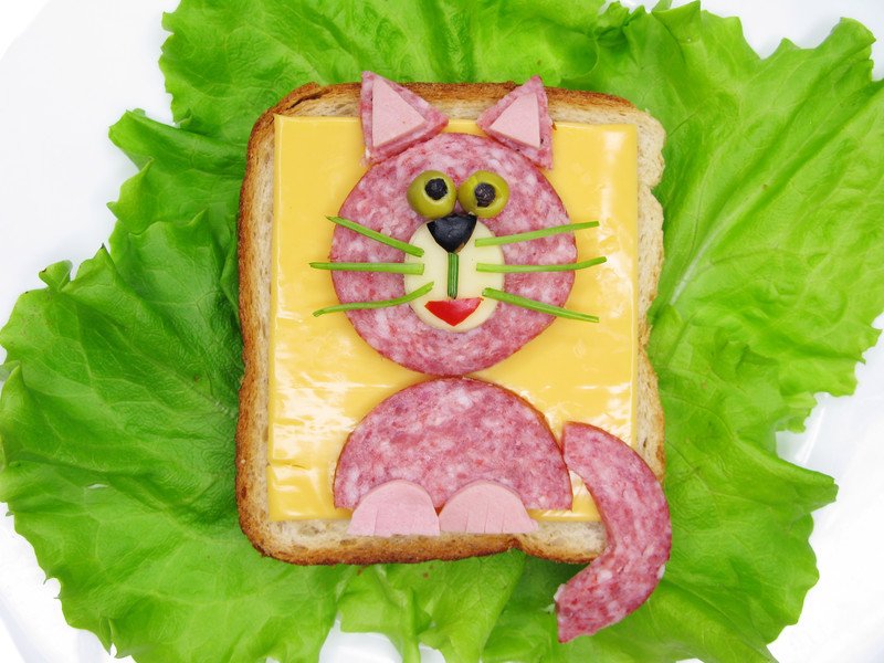 przepis na kanapkę z kotem dla dziecka