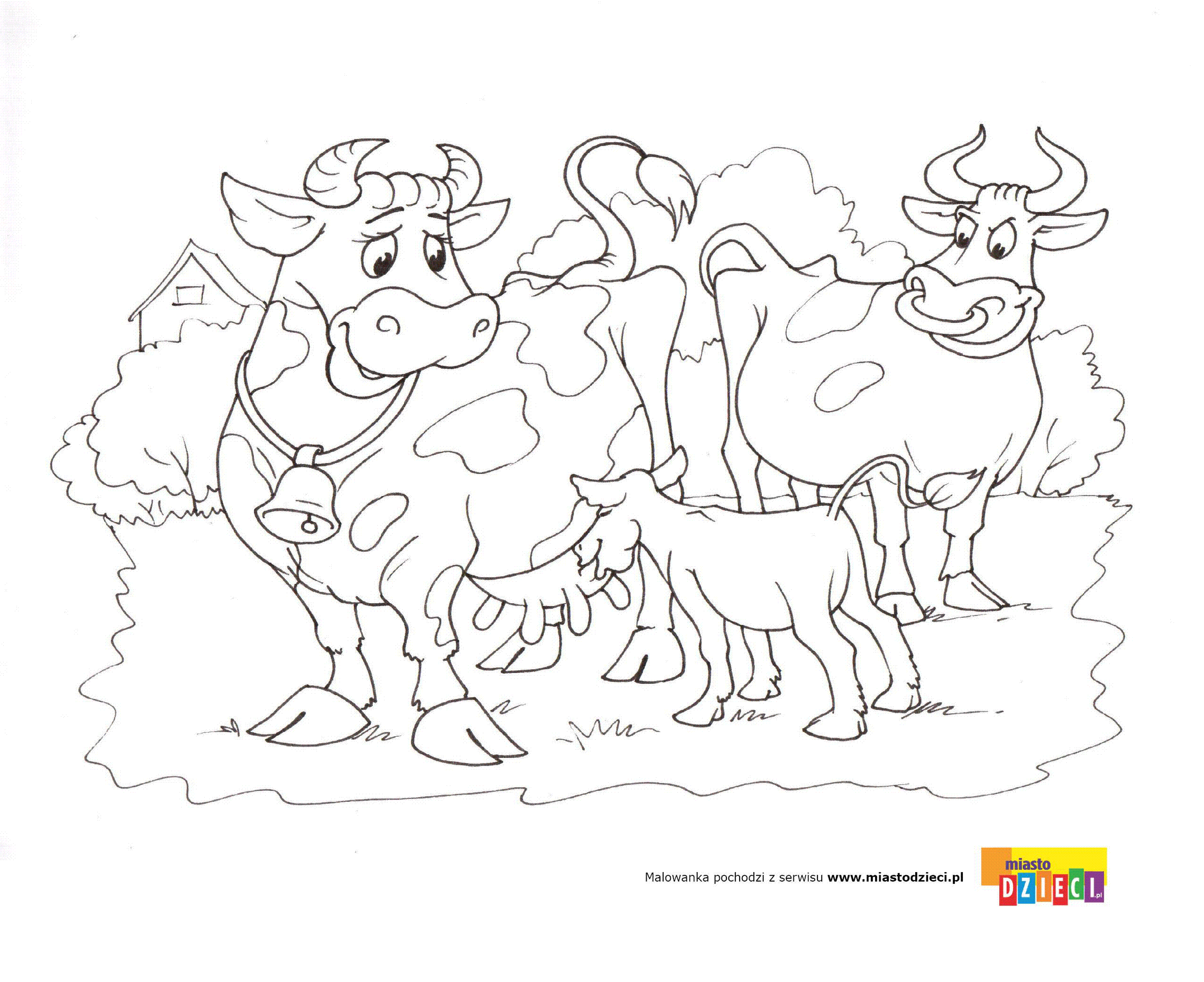 Kolorowanka - Krowy