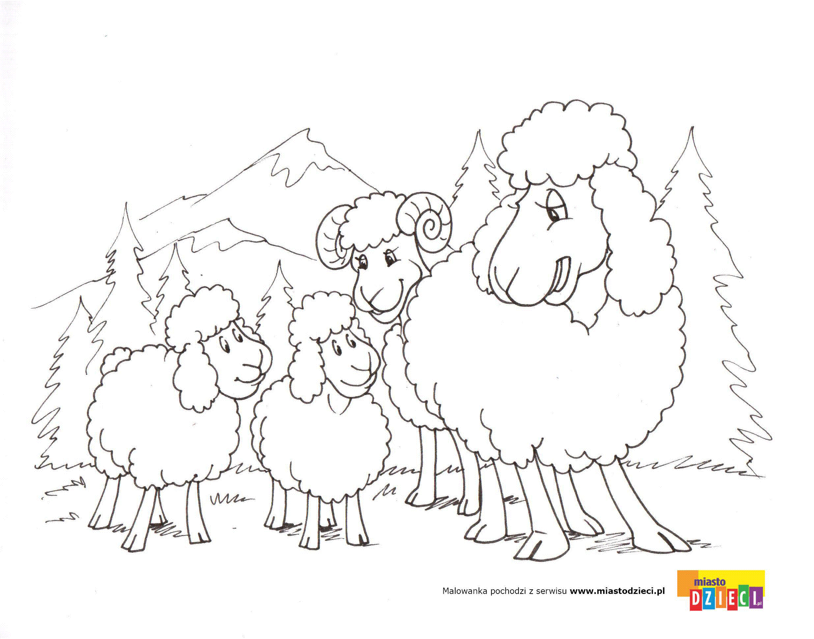 Kolorowanka - Owce