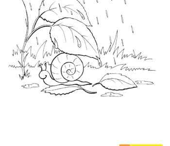 Kolorowanka - Ślimak w deszczu