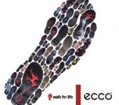 Rekordowy-ECCO-Walkathon