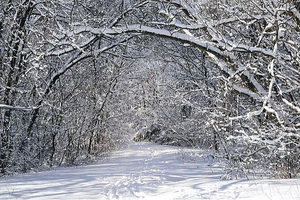 Wolne od nauki – wypełnij wolną kulturą