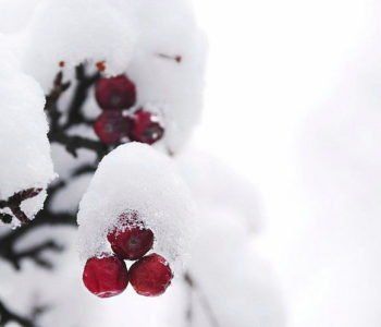 zajęcia zimowe dla dzieci