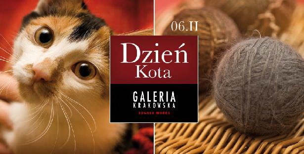 Święto kotów w Galerii Krakowskiej
