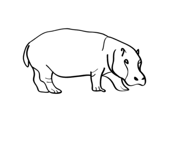 Hipopotam - kolorowanki, malowanki dla dzieci do druku.