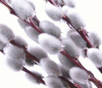 warsztaty dla dzieci w Warszawie