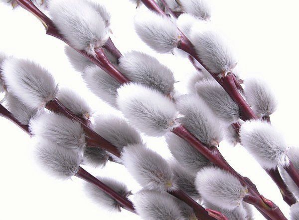 warsztaty dla dzieci w Warszawie