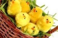 warsztaty wielkanocne w Warszawie