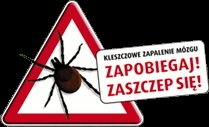 Kleszcze niebezpiecznie blisko!