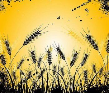 zajęcia dla dzieci w Warszawie