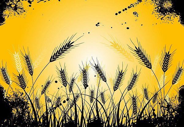 zajęcia dla dzieci w Warszawie