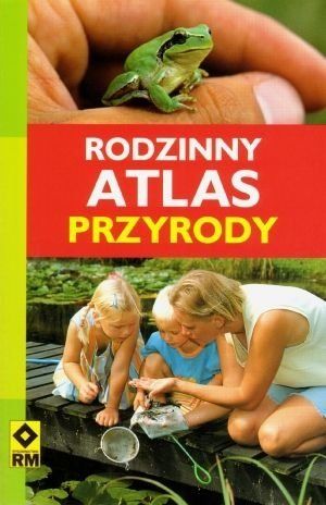 konkurs
