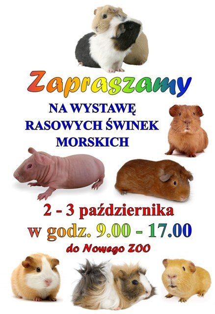 Wystawa dla Dzieci w Nowym ZOO w Poznaniu