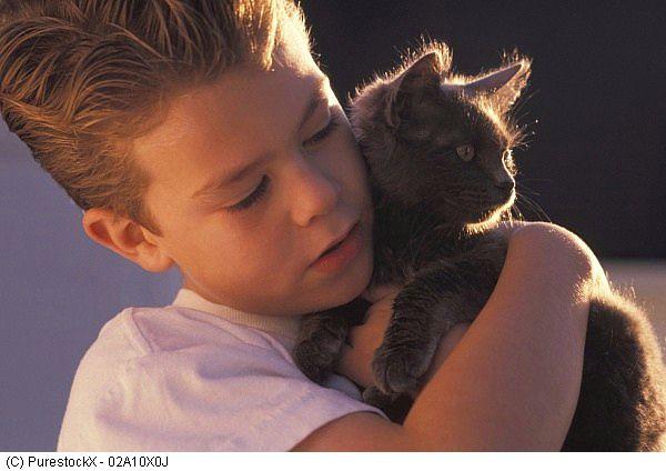 pomoc zwierzętom Kraków