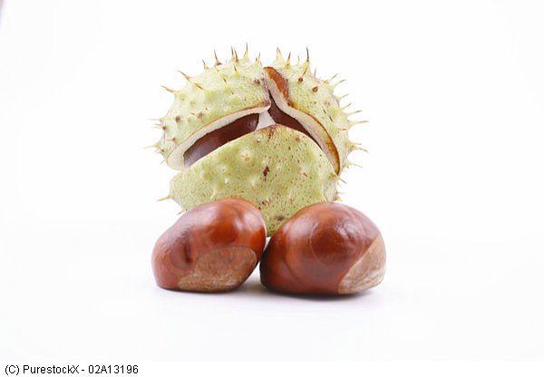 Śliwki w Little Chef