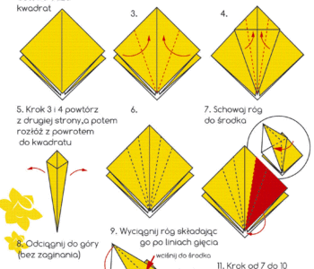 Żonkil - origami, instrukcja do wydrukowania