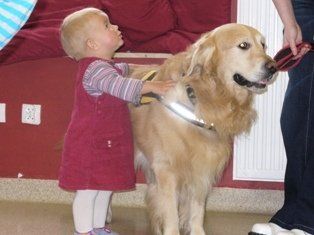 Dogoterapia w Badecie