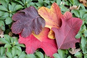 przedstawienia dla dzieci w Warszawie