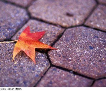 spektakle dla dzieci w Warszawie