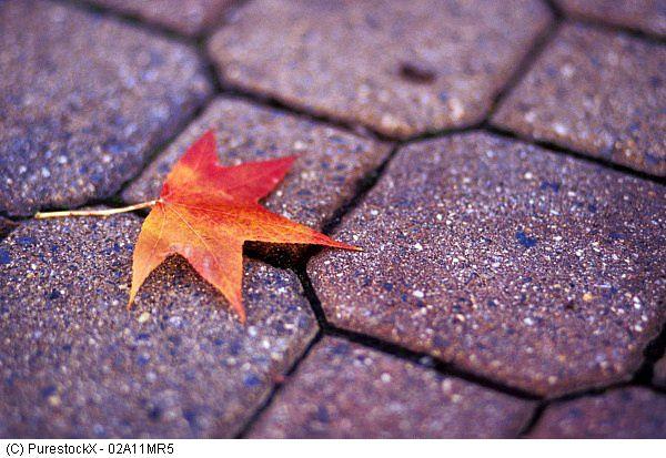 spektakle dla dzieci w Warszawie