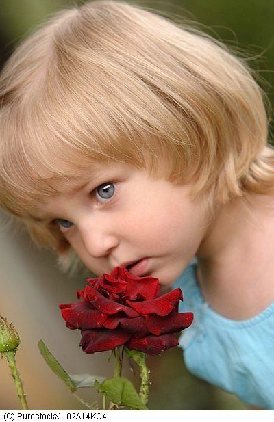 warszawskie spektakle dla dzieci