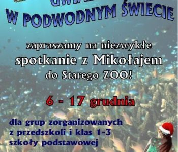 Gwiazdor dla Dzieci w Poznaniu