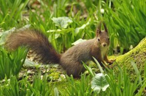 warsztaty dla dzieci w Krakowie