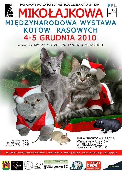 wystawa kotów w Warszawie