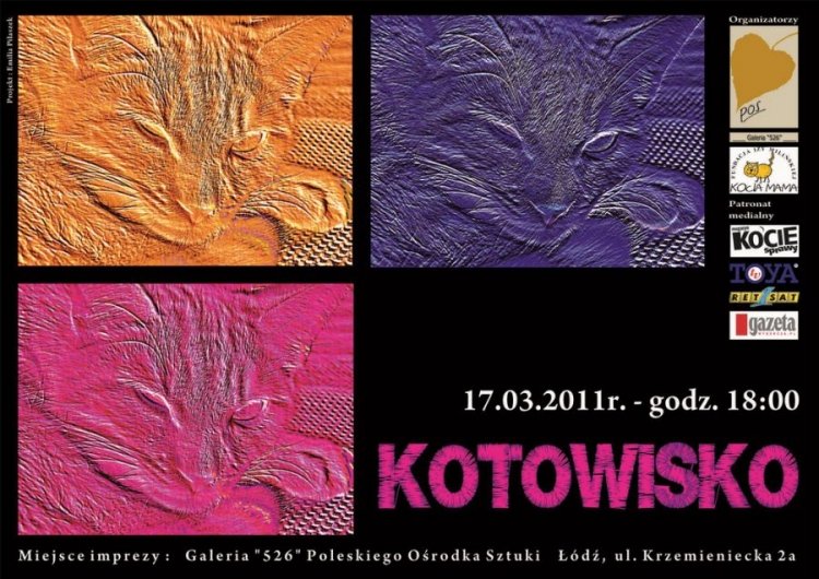 Kotowisko – święto miłośników kotów