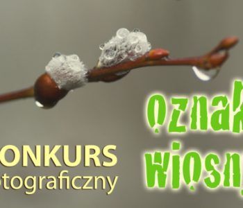 konkurs fotograficzny