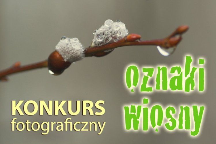 konkurs fotograficzny