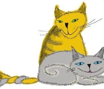 warsztaty dla dzieci