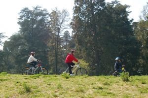 Majówka Rowerowa Śladami Smaków Czyngis Chana