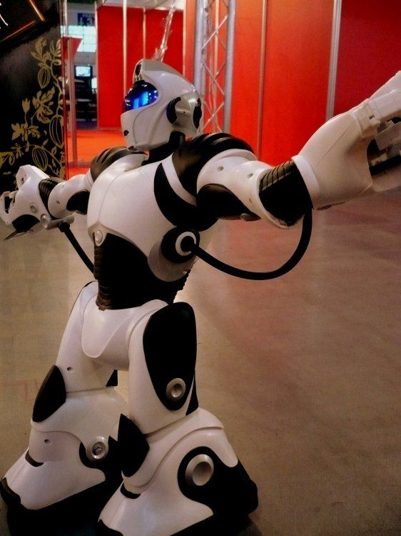 pokazy robotyki w szkołach