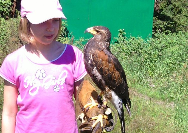 Pokazy na Górze Birów