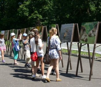 Wystawa dla Dzieci i Rodziców w Poznaniu i okolicy