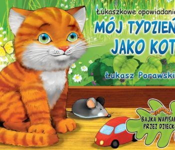 Mój tydzień jako kot