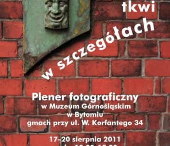 Plener fotograficzny w Muzeum Górnośląskim w Bytomiu