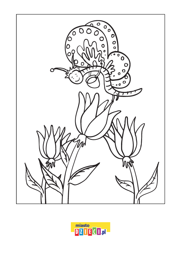 Kolorowanka - Motylek zbierający nektar