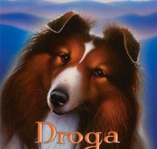 Droga do domu