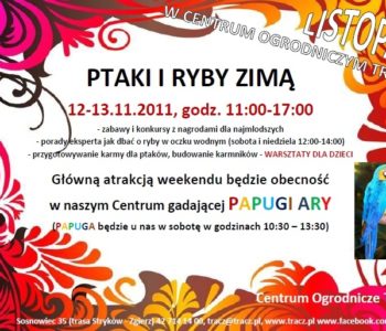 Weekend w Centrum Ogrodniczym Tracz