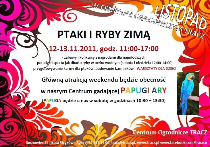 Weekend w Centrum Ogrodniczym Tracz