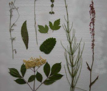 Zima w mieście 2012 Kraków