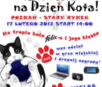 Światowy Dzień Kota w Poznaniu