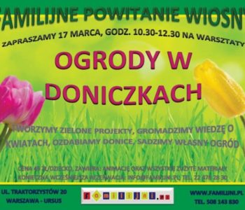 Ogrody w doniczkach – familijne powitanie wiosny