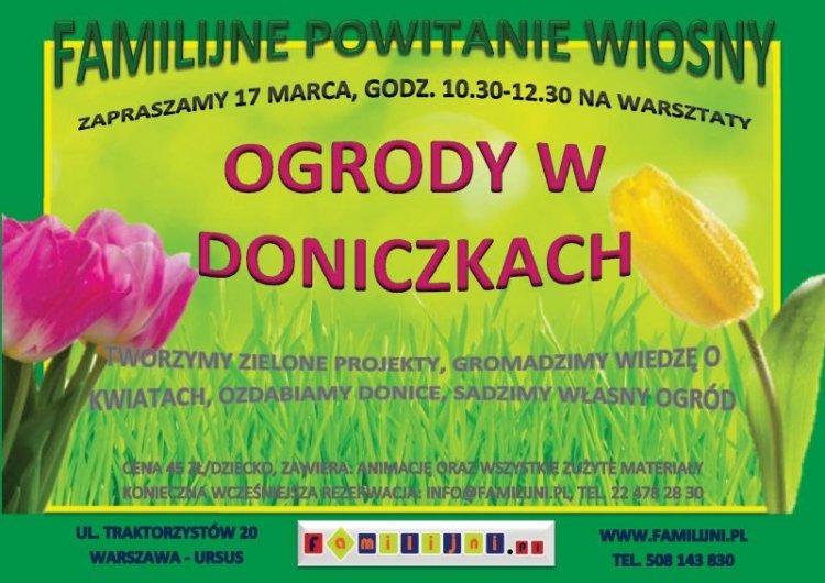 Ogrody w doniczkach – familijne powitanie wiosny